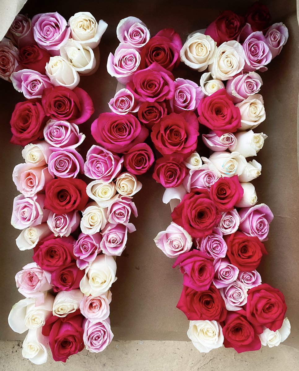 Alex_Washington's tweet photo. If you like her #detroitflowerco her.
Listen, Iโve been dropping HARD hints with my boyfriend ๐
All I saw was burlap wrapping on the Ring and came flying home to get them off the porch.
Theyโre beautiful.
cc: @_JaNyeAiko https://t.co/iso5uQtgLC