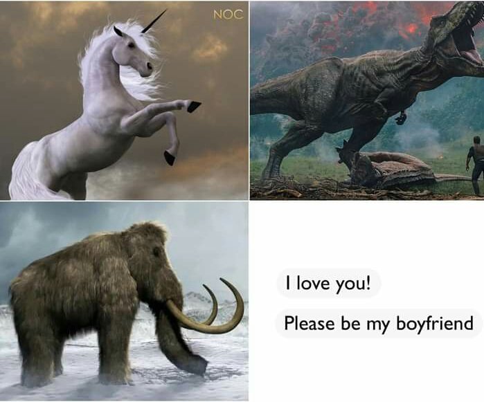 goto___hell's tweet image. Things you will never see in your life...