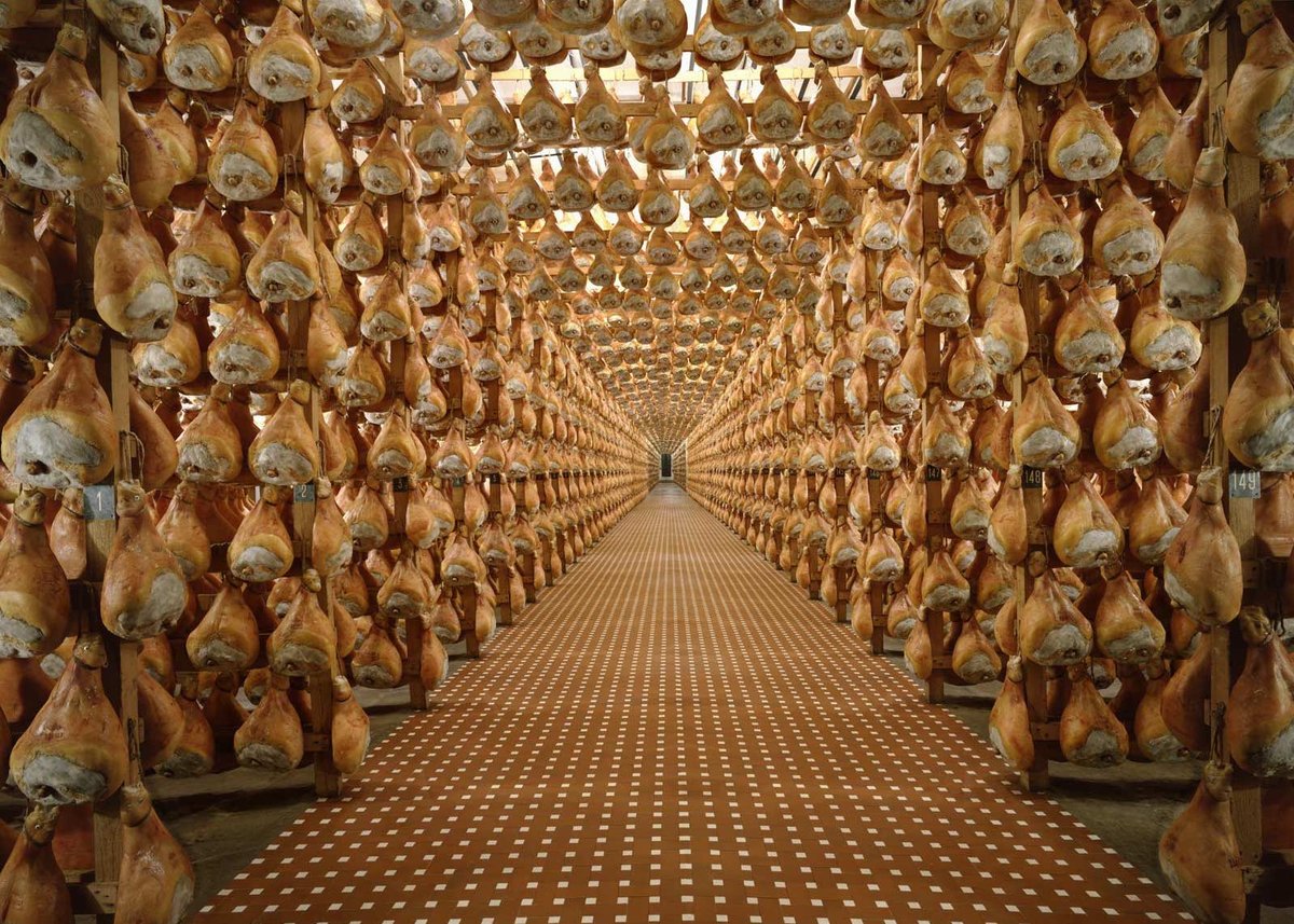 pelotonmagazine's tweet photo. The Giro visited Italy's Emilia-Romagna region this week. Learn a bit about one of the region's great exports: Prosciutto di Parma: https://t.co/X8VCzwqqFz

Presented by @alebikewear_US
#IAmAle #TheWayWeRide https://t.co/k6fddbaYSM