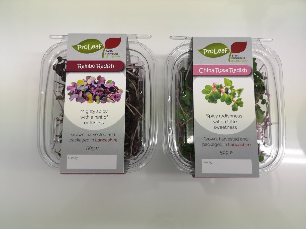 A brace of spicy #microgreens Rambo Radish (assumed named as such for its strength) and China Rose Radish.