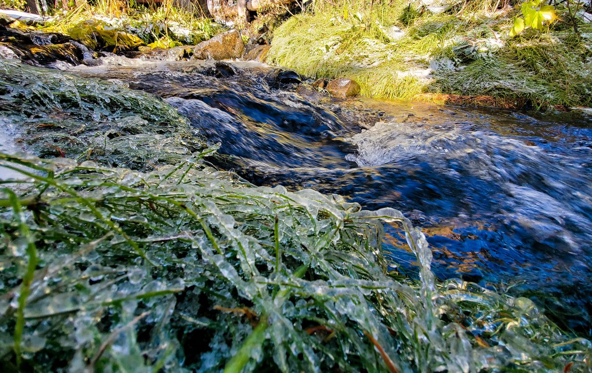 SignofMountains's tweet photo. The seasons are changing and there's a chill in the air. Whats your favorite fall activity in the mountains? https://t.co/rX4wfZQvPq
