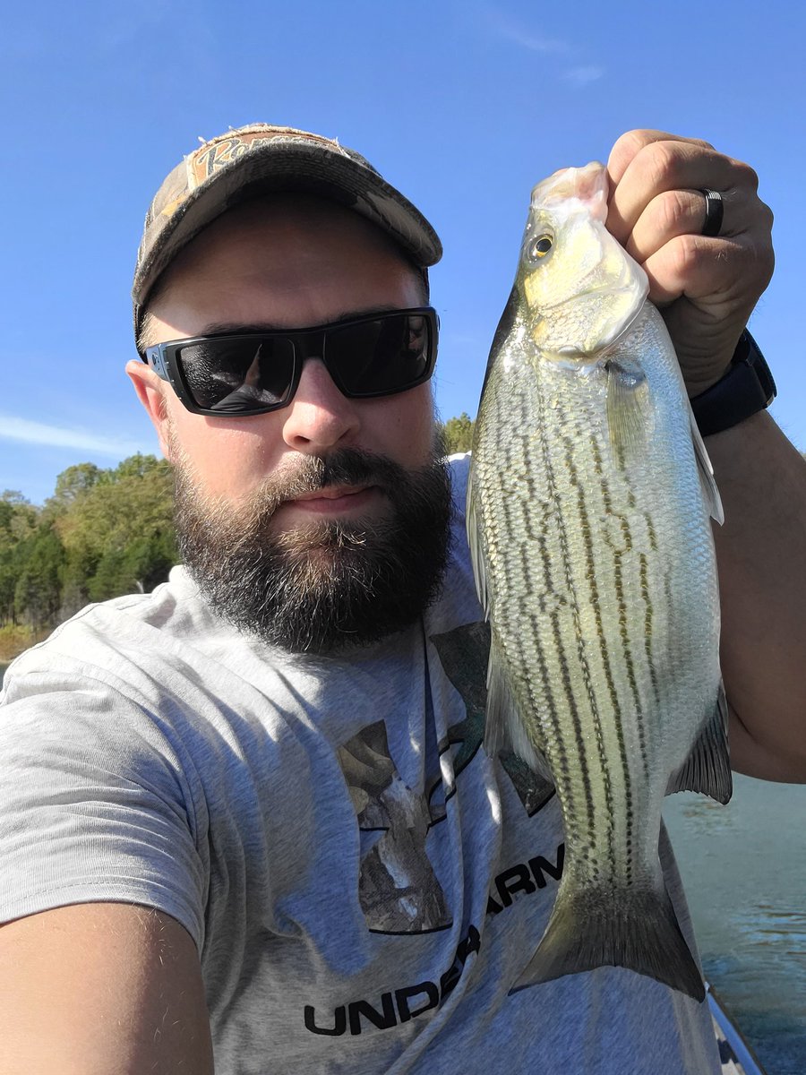 Chasing hybrids at the lake the other day!