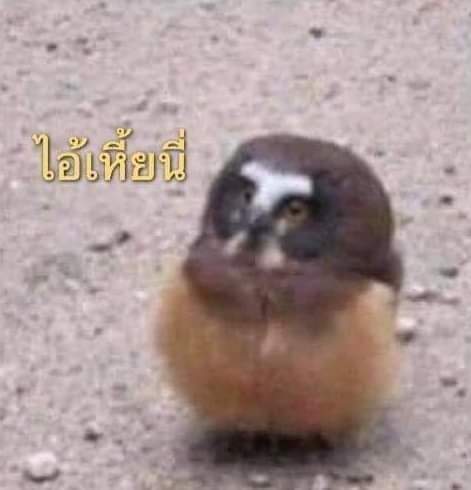 VICTER_RSV's tweet photo. @NAPHATMINGIY https://t.co/JOBIC51TJP