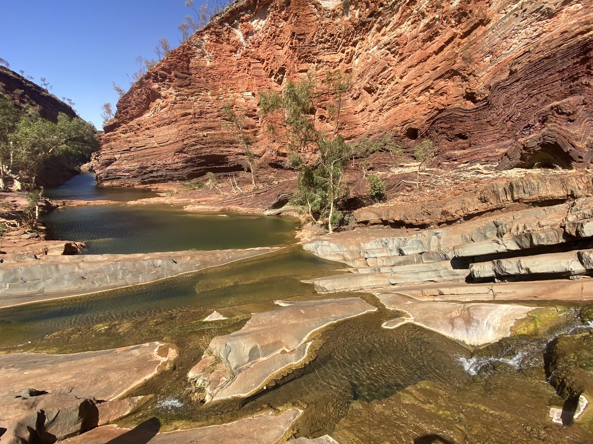 So much fun hiking in Karijini yesterday while $IOU was flying 🤪 #Stocks #ASX