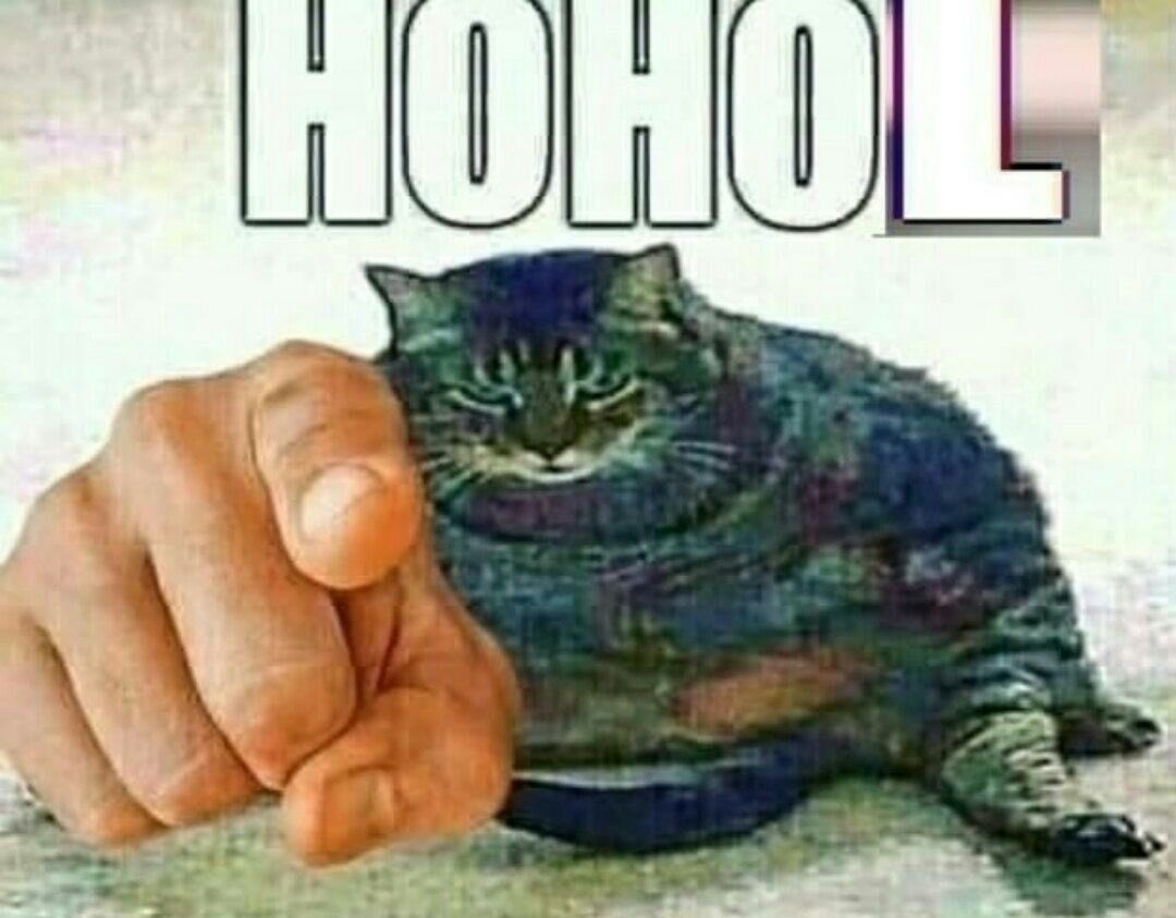 EkfXQXGXgAEc4hG?format=jpg&name=medium