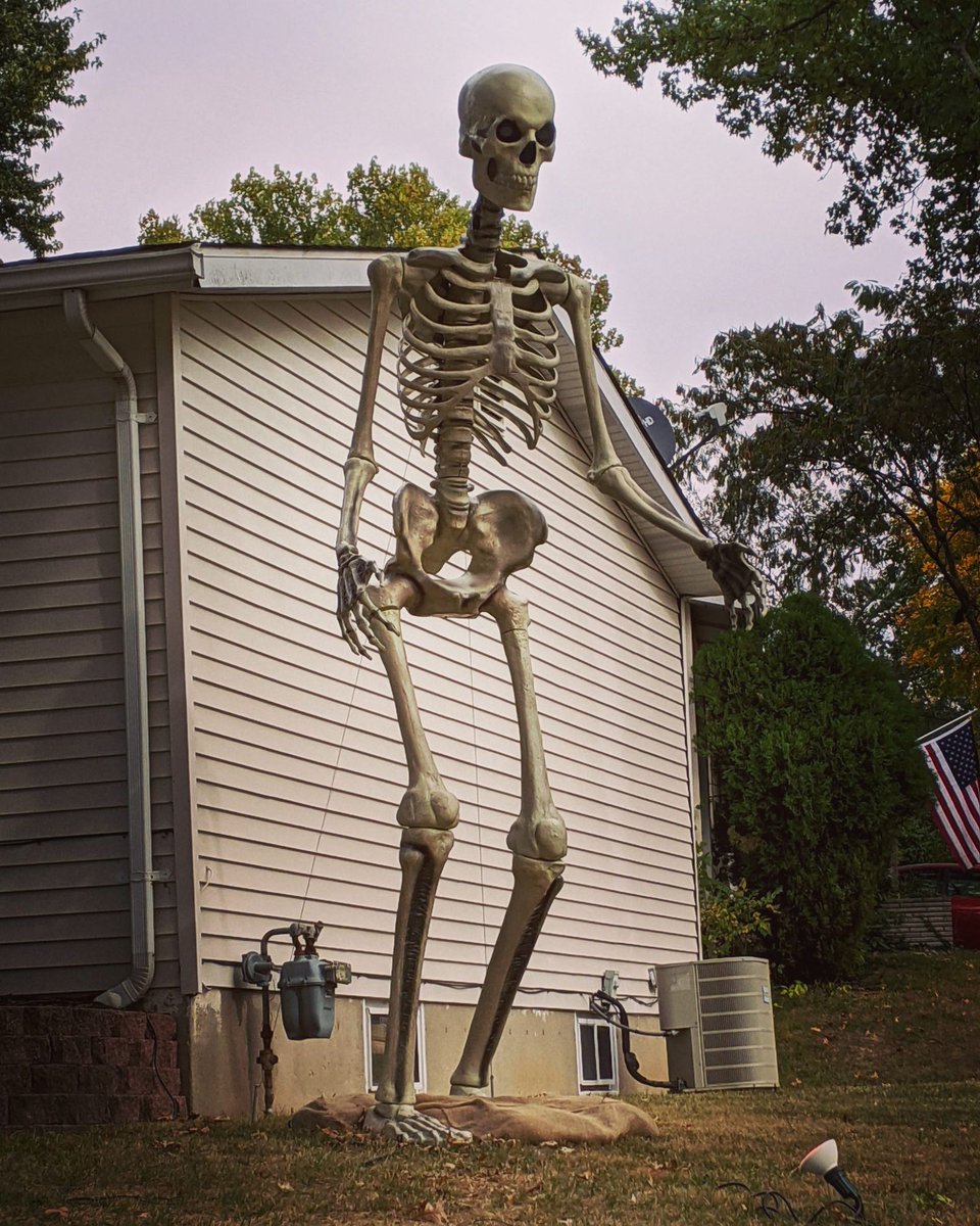 #halloweenisnotcancelled because this skeleton has some complaints to file about the position of the lighting apparatus. (A contribution from bestie @ohinmo)
instagram.com/p/CGbEvWPH4Ej/…