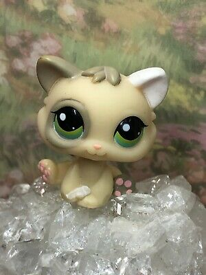 lps kitten 1074