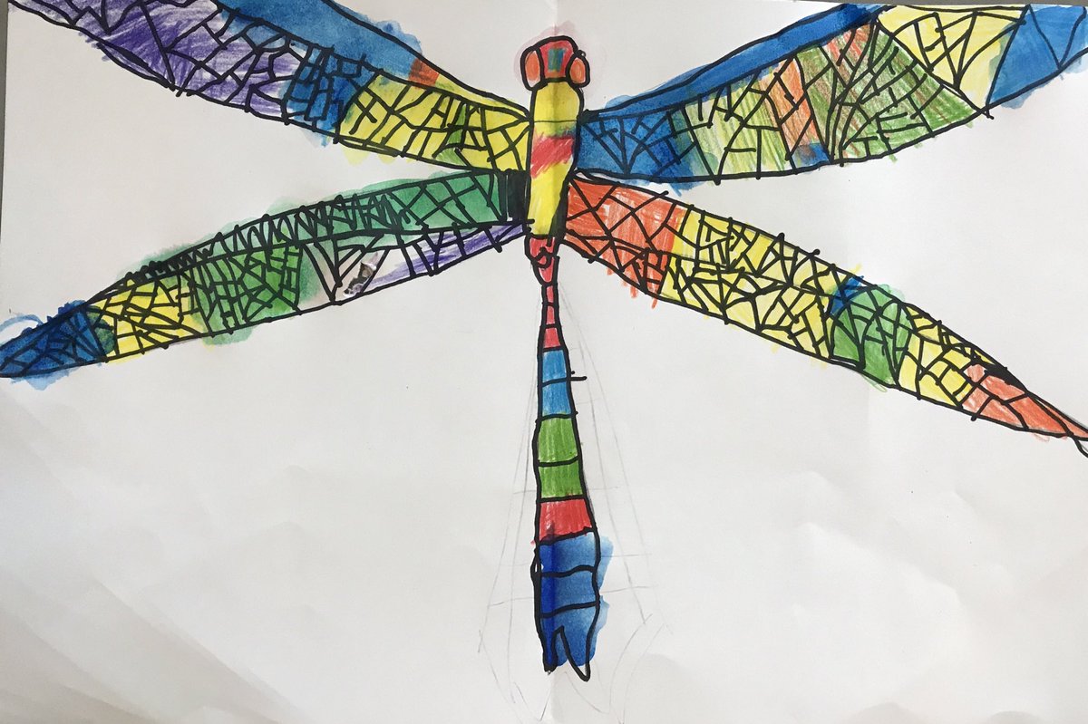 ChesARTmatters's tweet photo. Dragonfly’s and beetles for transformation and health CASTLE HAYNE students rock! https://t.co/NUd9j8jtna