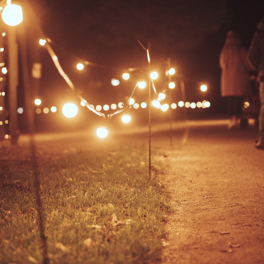 RugDavRadio's tweet photo. A spectacular illuminated trail near Rugby is set to enthral the senses and provide some seasonal cheer to families young and old in the build up to Christmas this year. #Christmas #Christmas2020 #CoombeAbbey #CoombeAbbeyPark #LuminateCoombe #rugby #Warwi https://t.co/ojHeYo3MCY https://t.co/b9kLUMfAia