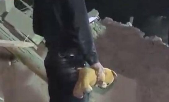 WORLD! 
What else should have happened to see this terrorism?
Why are you silent?
#ArmenianAggression is killing civilians!
Where is your advocacy of human rights?! <a href="/UN/">United Nations</a> 
Feeling sorrowful...
#kimkardashiansupportsterrorism
#DontBeBlind 
#PrayForGanjaCity