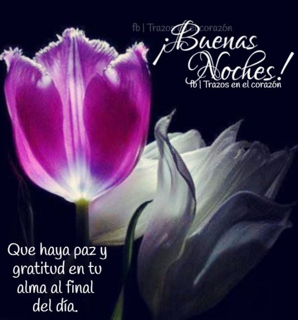 Hilda Salazar Guzman on Twitter: Hilda Salazar Guzman on Twitter: