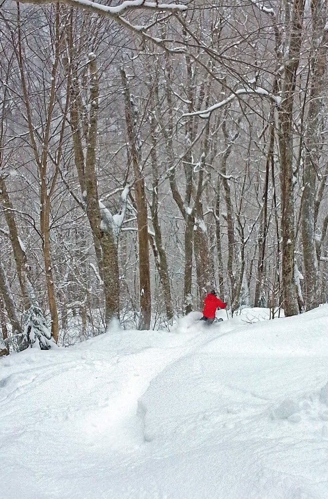 Gina Bégin tweet media
