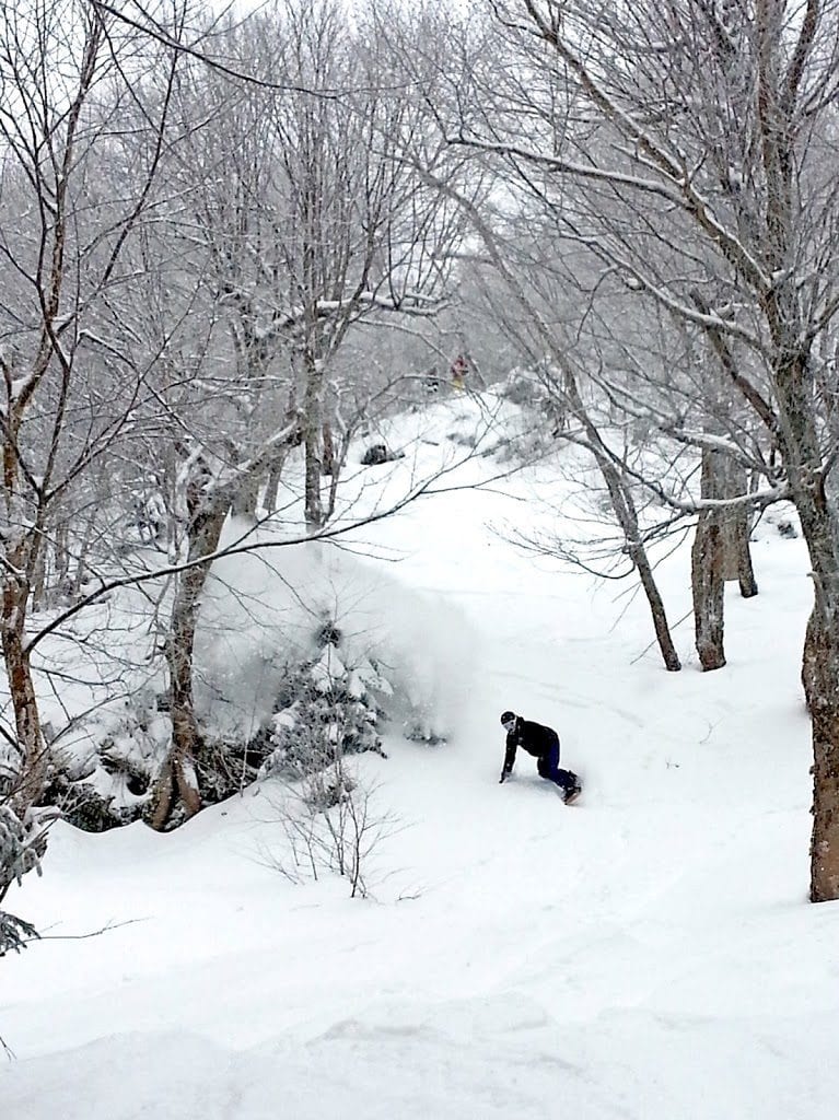 Gina Bégin tweet media