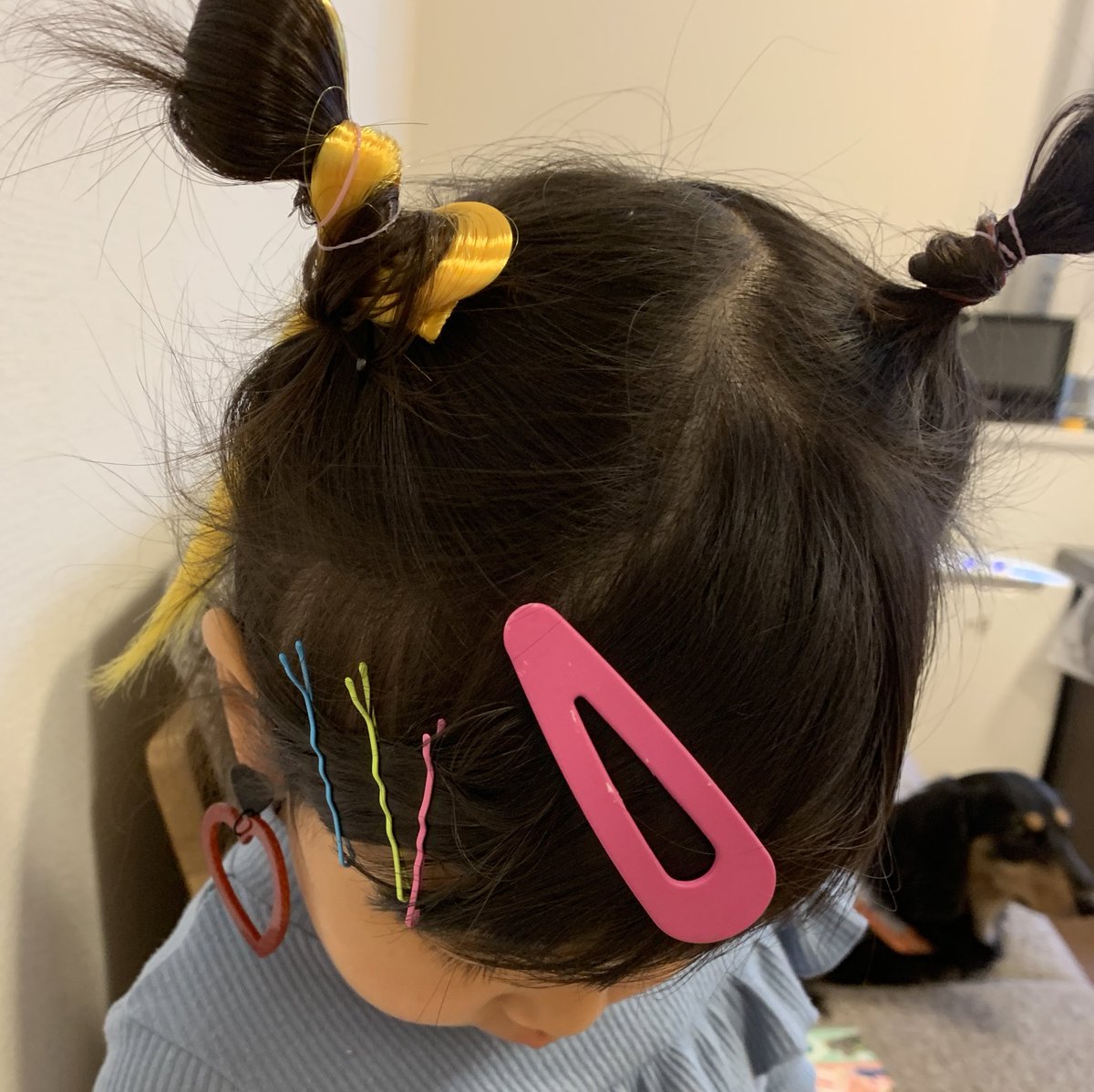 takuyatosa1's tweet image. 娘が朝からハロウィンの予行練習してる、、

今年は本当にこれで行くのか‼️
誰でしょう⁉️