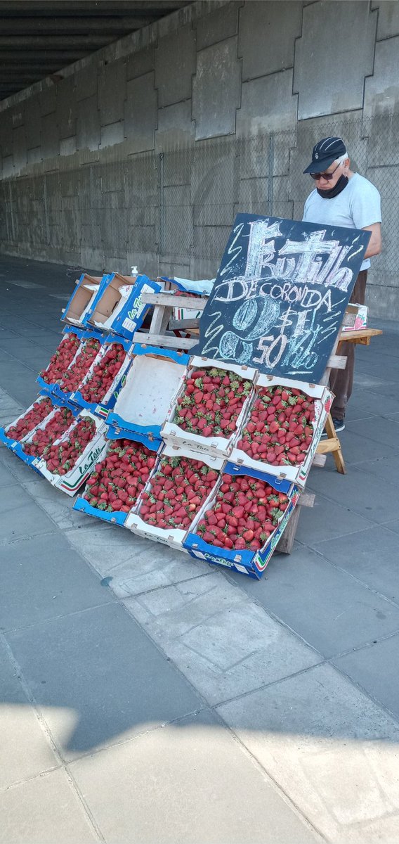 Estoy vendiendo con mi abuelo frutillas en ciudadela para un poco de ingreso más en la casa, mañana iría a Ituzaingo y padua, me ayudarían con un rt para que alguien me pida al privado y lo lleve a domicilio, muchas gracias.