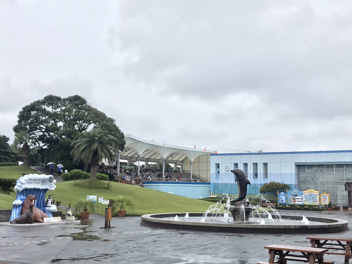 南知多ビーチランド 公式 おはようございます 今日は朝から生憎の雨 1回目のショーを開催中です 気温もかなり低いので防寒対策をしてご来園ください 南知多ビーチランド 冷たい雨 防寒 おすすめ