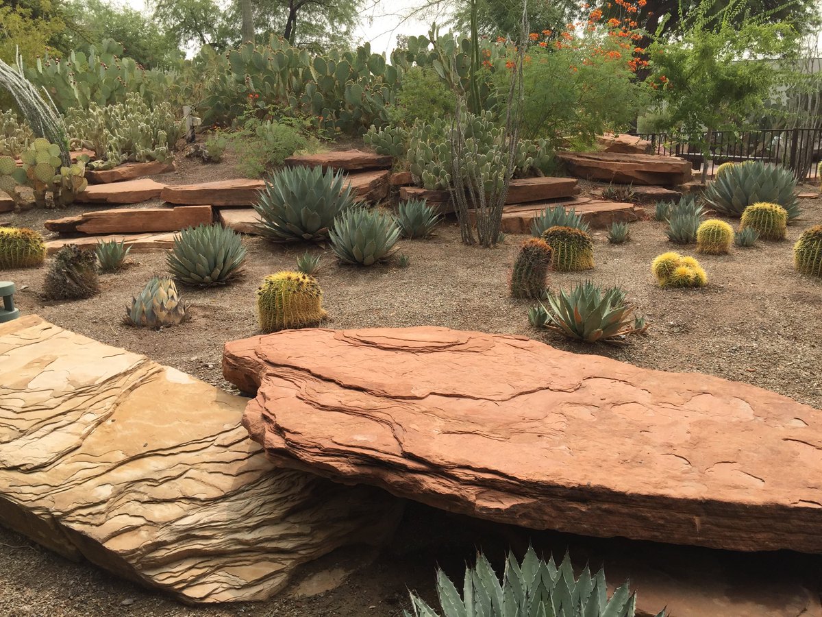 TomilkinaDesign's tweet photo. October in Nevada beautiful and green #desertlandscape #desertlandscapedesign #landscapedesign #nevada #lanscape #beautifulnature #desertbeauties #designinspiration #cactusandagaves #desertdesign #savewater https://t.co/upDX8eRUfd