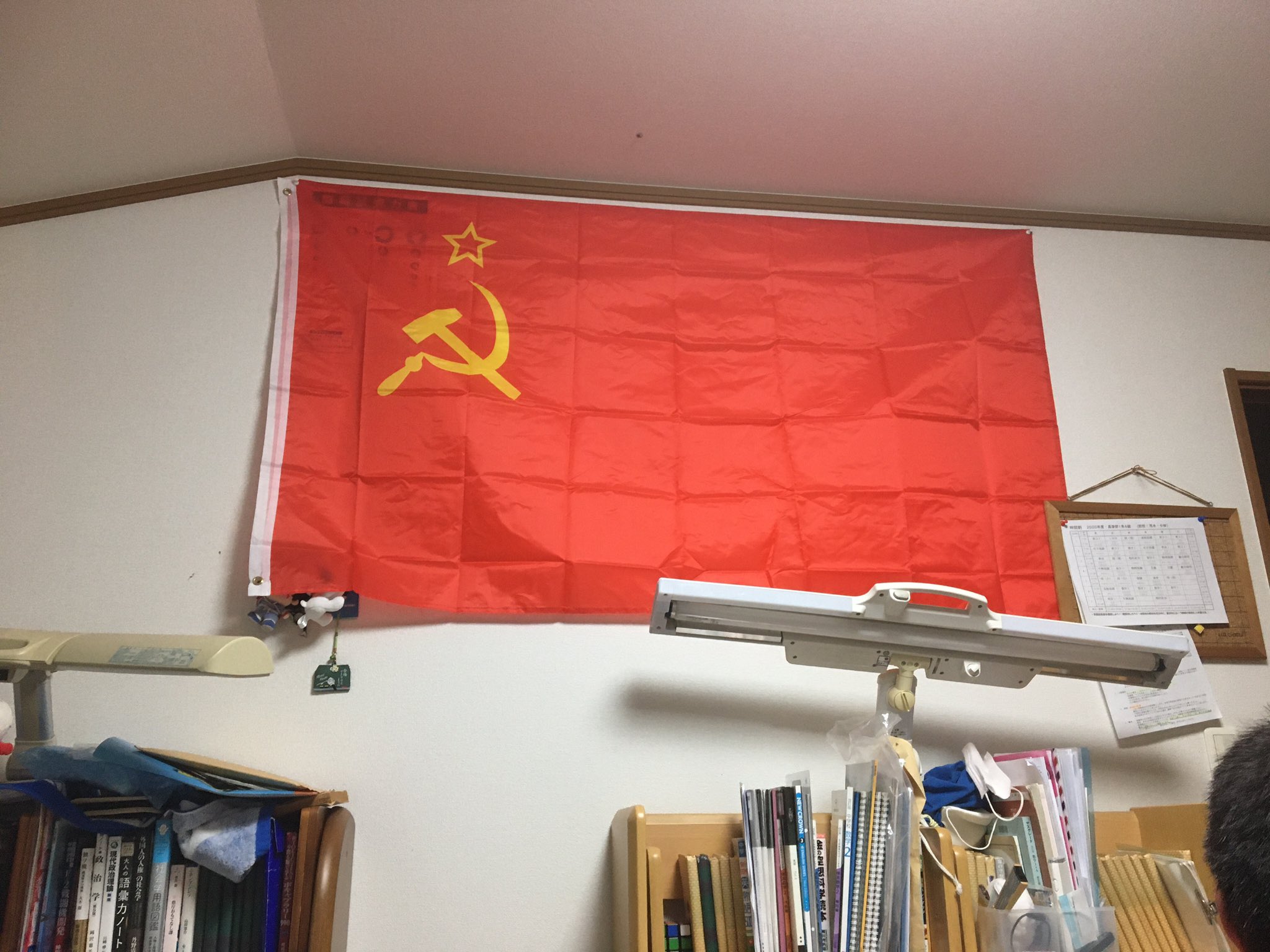 アルジャーヒス 運動会中止みたいですね 実は僕は赤組でした 来年こそ資本組を根絶やしにしましょう