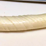 こんなやり方があったなんて･･･!長ネギをみじん切りにするとき、知っておくと役立つテクニック!