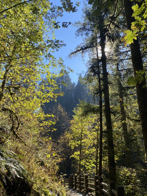 2 pic. wouldn’t choose any other life ? https://t.co/45rL3LiEcJ
