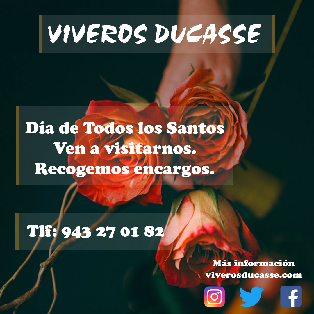 Un año más en Viveros Ducasse de Intxaurrondo en Donostia San Sebastián hemos traído para nuestros clientes una gran selección de plantas y flores para esta fecha tan importante donde nos acordamos de manera especial de todos nuestros seres queridos.