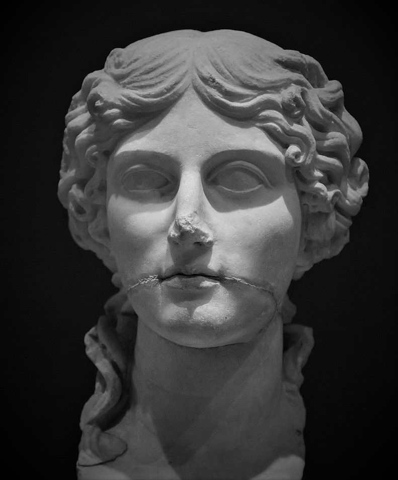 TrimontiumTrust's tweet photo. The #Roman Empire said farewell to a powerful woman on 17th October 33AD, when Agrippina the Elder possibly died. She was wife of Germanicus, Granddaughter of the Emperor Augustus & mother of the Emperor Caligula. She died in exile, possibly having been starved to death, aged 46 https://t.co/vzhgEzKjLS