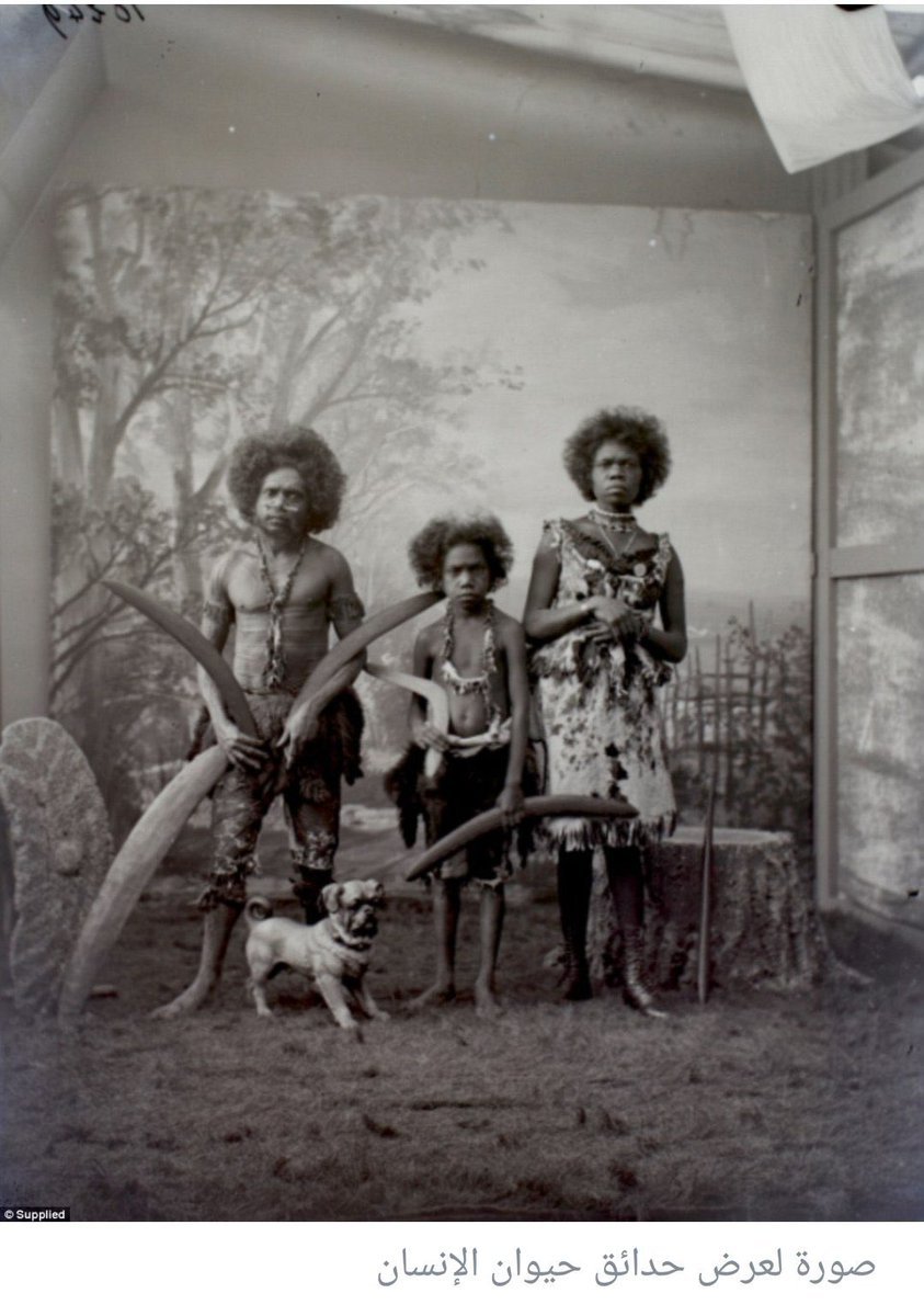 حكاية صورة 

عن حقبة عرض البشر بحدائق الحيوان

فى أواخر القرن الـ19 وحتى منتصف القرن العشرين 
وضع حوالى 20 شخصا من سكان أستراليا الأصليين 
فى قفص جنبا إلى جنب مع الحيوانات، وتم الطواف بهم فى جميع أنحاء أوروبا للعرض، كحديقة حيوانات متنقلة، 

فى ما أطلق عليه حديقة حيوان الإنسان.