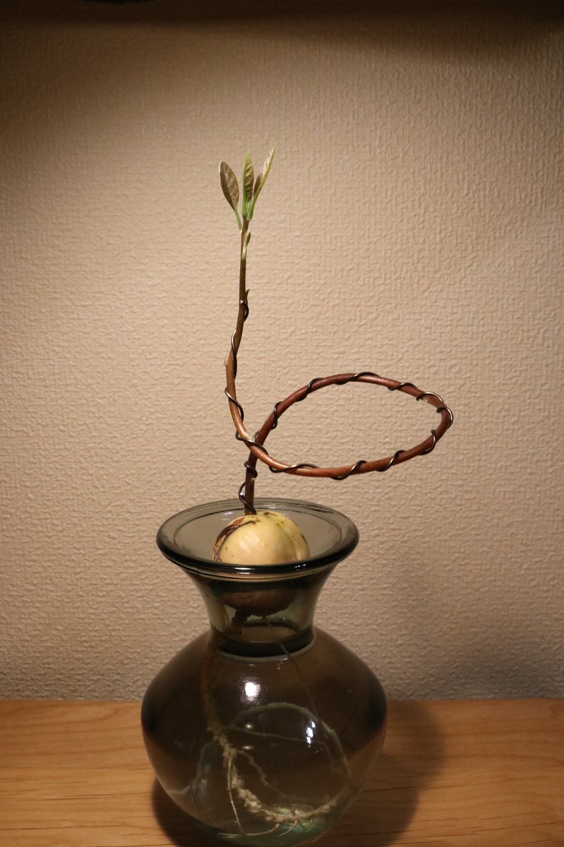 盆栽風