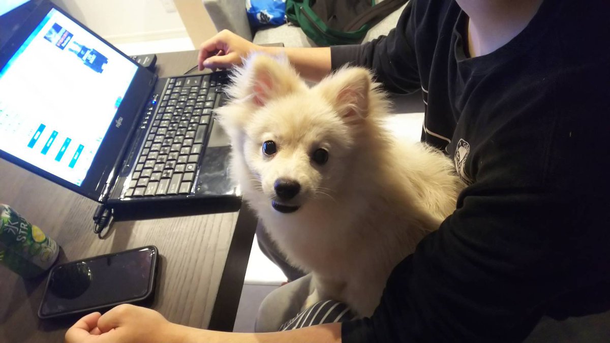 i_01222's tweet image. 今日は雨の中釣行にでも…🥰

ブログを阻止する小梅ちゃん😍
【fimo】
fimosw.com/u/nyakky/gmjgm…

#fimo
#fimoブログ
#雨ニモマケズ
#東京湾奥
#シーバス
#ima
#apia
#釣り好きな人と繋がりたい