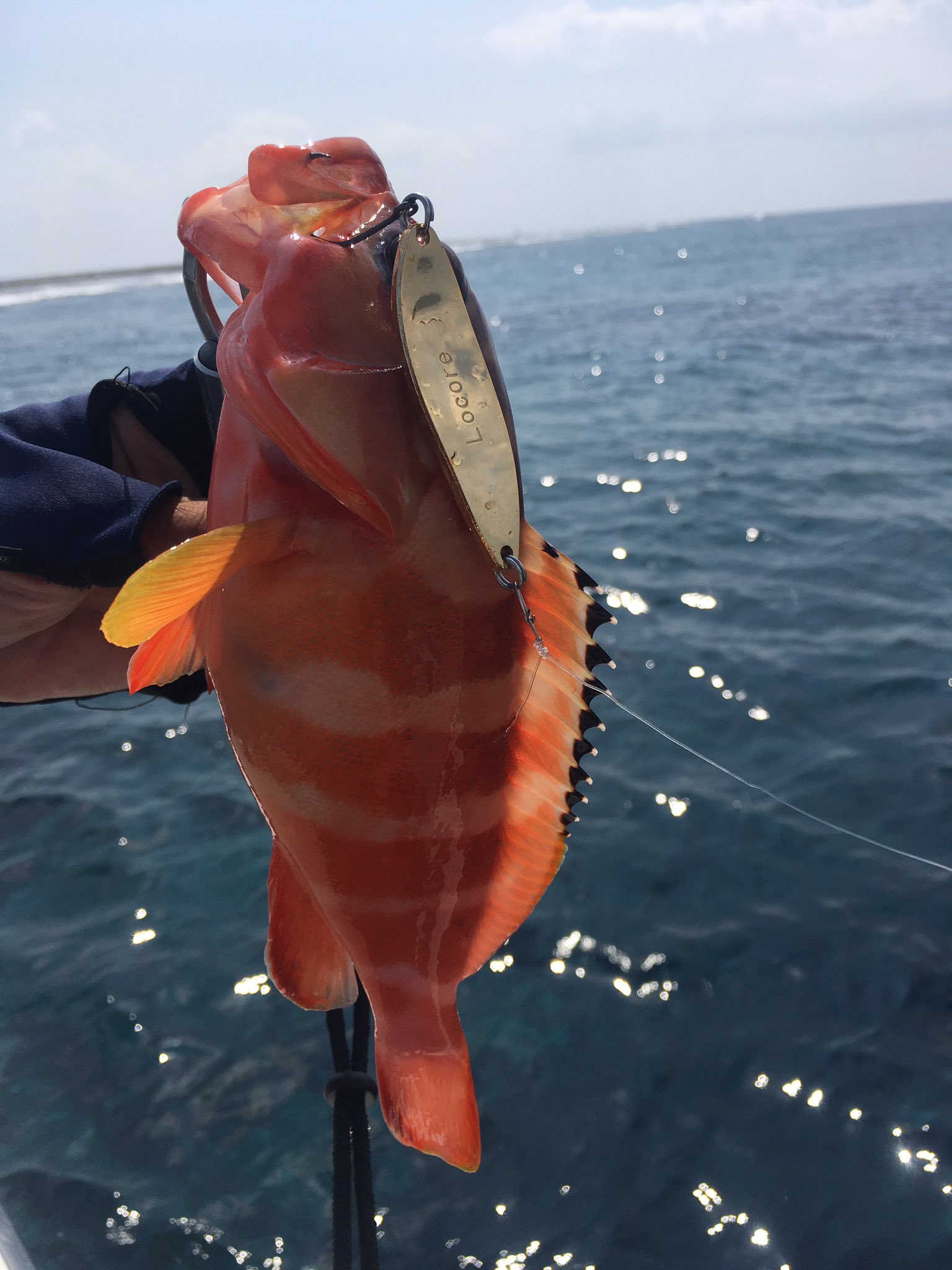 Mr 釣り三昧 初のオフショア ライキャス 釣ってみたかった魚種２種類釣れた ゲキ渋だったみたいなので またリベンジしたい アカハタ ハンゴーミーバイ ニジハタ アカワタミーバイ T Co 57achbbpif Twitter