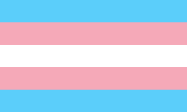 kotori minami - transgender lesbian
