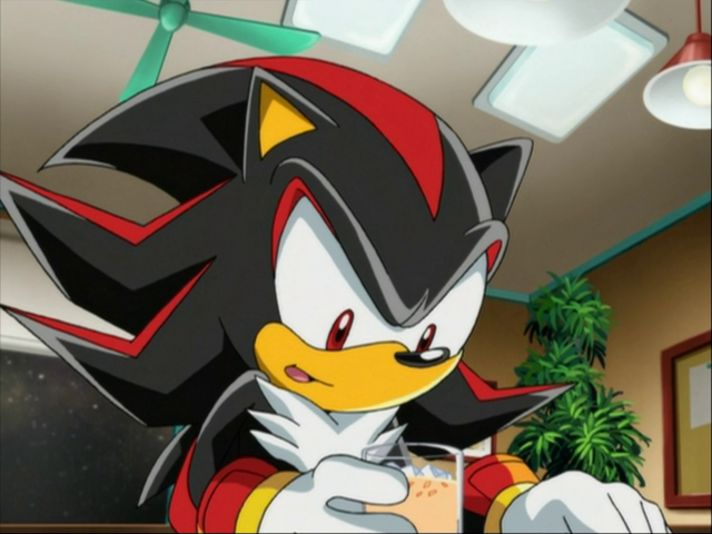 Sonic X Screencaps on Twitter  Shadow the hedgehog, Sonic and shadow, Sonic