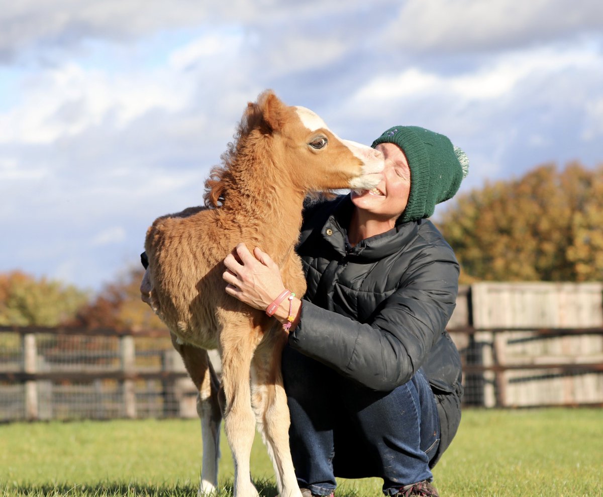 wickhamwicks's tweet image. Happy Saturday! Thanks to Baby Buttons who makes us smile everyday🥰#BabyButtons #StolenHearts💕⭐️