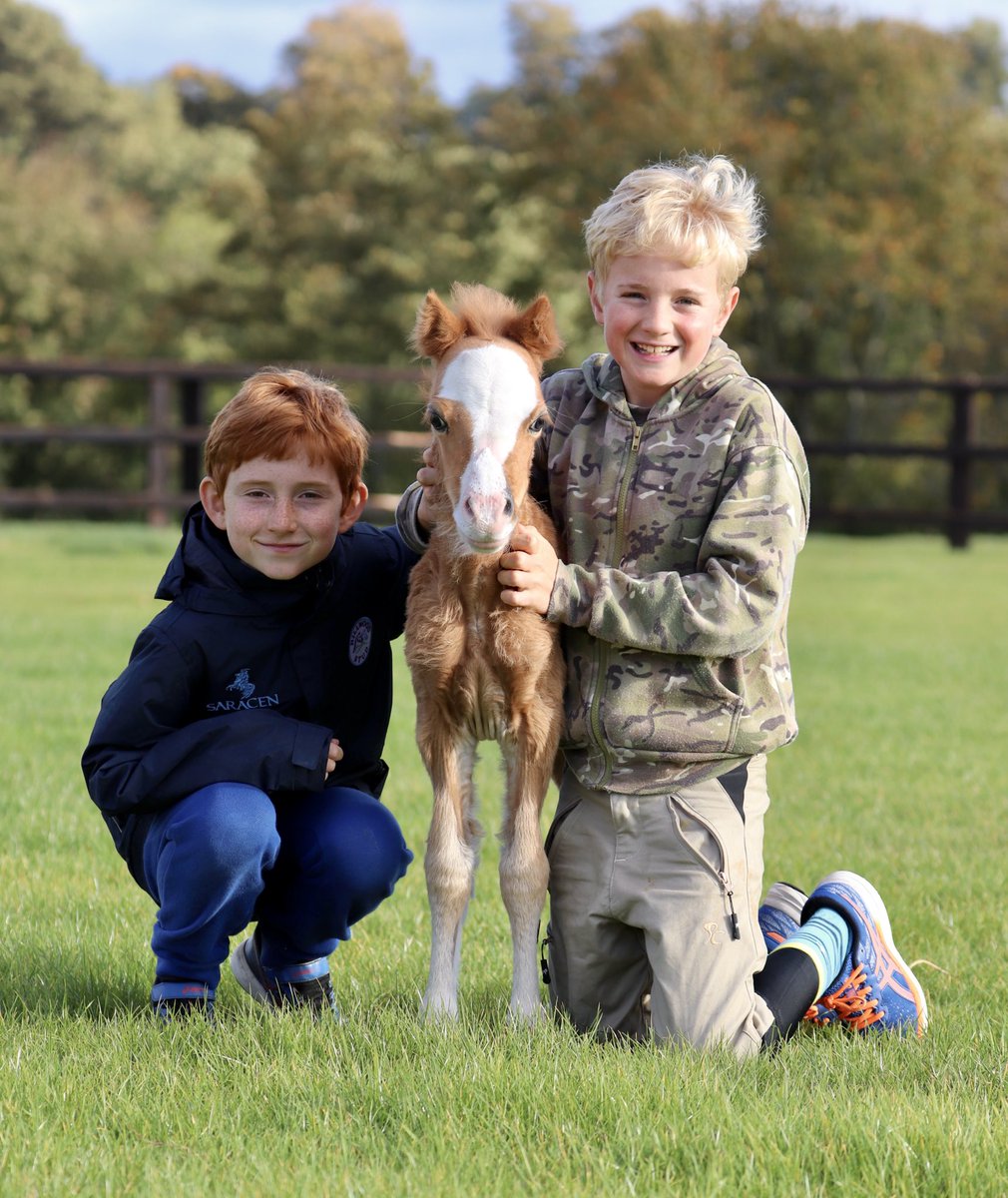 wickhamwicks's tweet image. Happy Saturday! Thanks to Baby Buttons who makes us smile everyday🥰#BabyButtons #StolenHearts💕⭐️