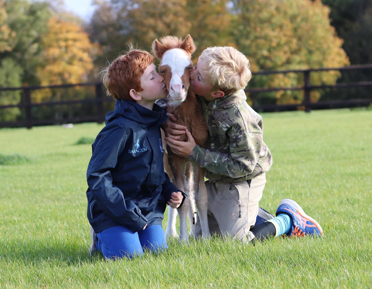 wickhamwicks's tweet image. Happy Saturday! Thanks to Baby Buttons who makes us smile everyday🥰#BabyButtons #StolenHearts💕⭐️