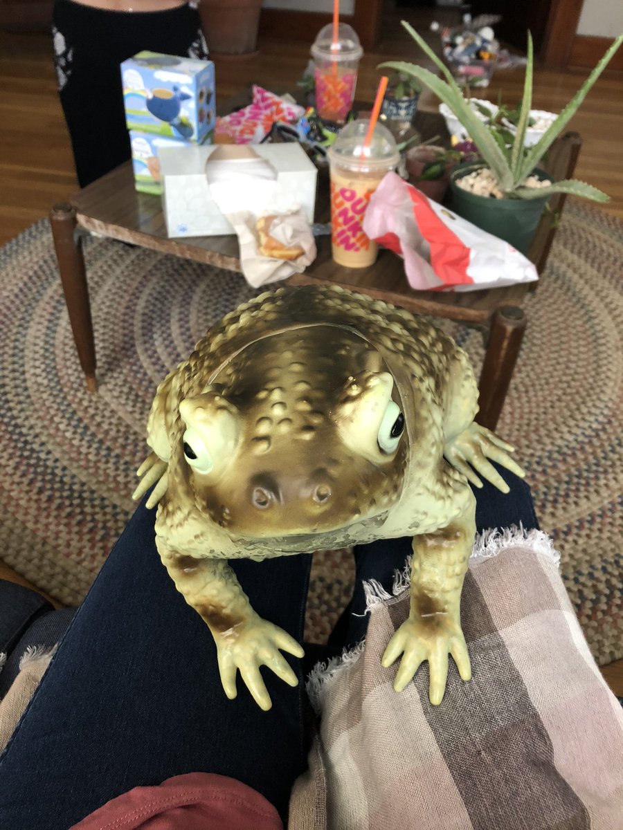 delaney (@delaneyy_janee) on Twitter photo 