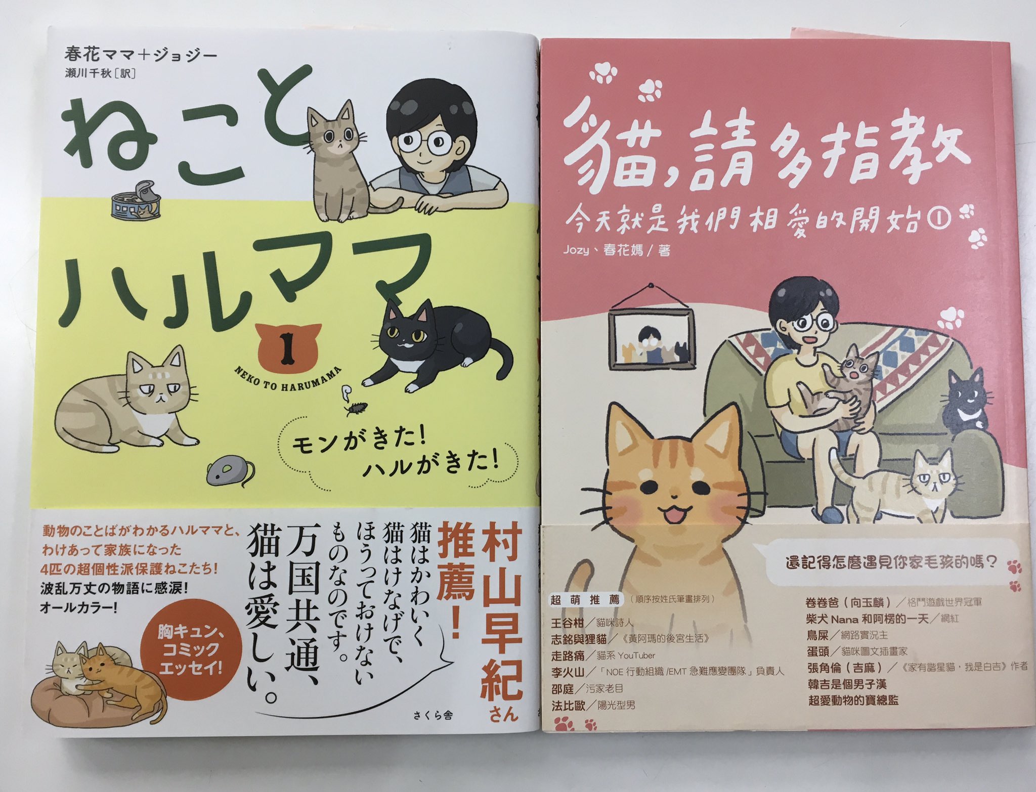 内山書店 中国 アジアの本 ミニフェア まんが だいすき 台湾のあちこちで出会える猫ちゃん 保護猫の問題も多々あるみたい 動物のことばがわかるハルママと保護猫たちの暮らしを綴るコミックエッセイ ねことハルママ T Co