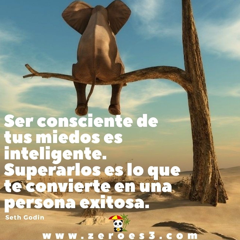 Zeroes33's tweet photo. https://t.co/VuL8mjTthf
📱(57)3007800898
#vidazeroes3 #asesoría #consultoría #psicología #psicoanálisis #bienestar #felicidad #fe #don #pactos #familia #pareja #liderazgo #crecimientopersonal #gratitud #logrodemetas #emprendimiento #amorpropio #quererespoder https://t.co/IlghFCeTuE