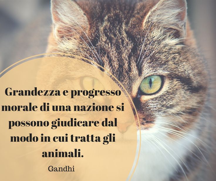 Vale Buongiornoatutti