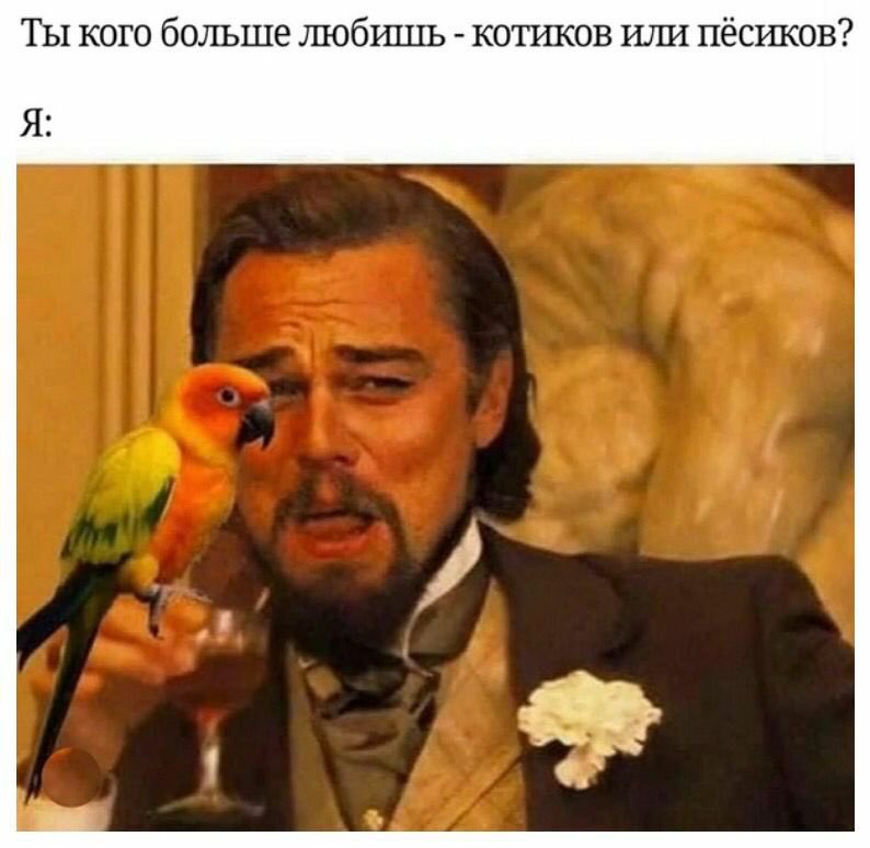 leprasorium's tweet photo. https://t.co/Doghv6cEd6