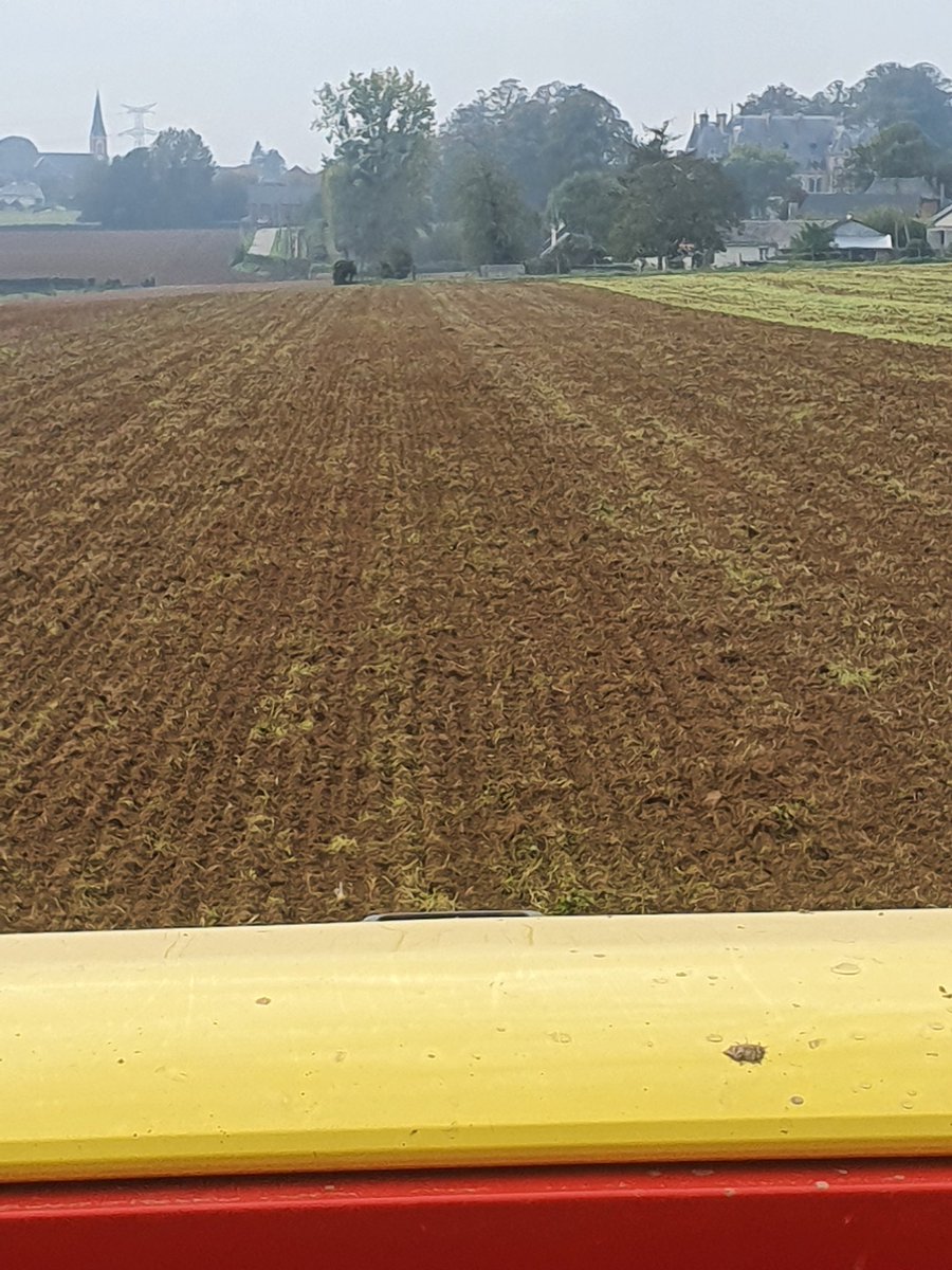 Poixblanc6's tweet photo. Récolte du trèfle 🍀 blanc nains associé au colza semé au 20 août 2019, deux culture en une avec un bon rendement fourrager
@SodiaalCoop du bon trèfle pour faire du bon lait @NatUp_groupe mon colza bas carbone et une super structure pour le futur blé @Pierre26244747 https://t.co/K2cMq0o1Zn