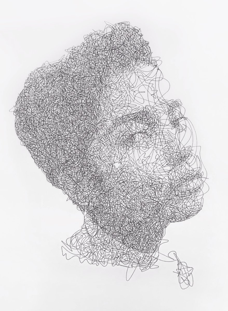 algorigraph's tweet image. new portrait algorith #plottertwitter