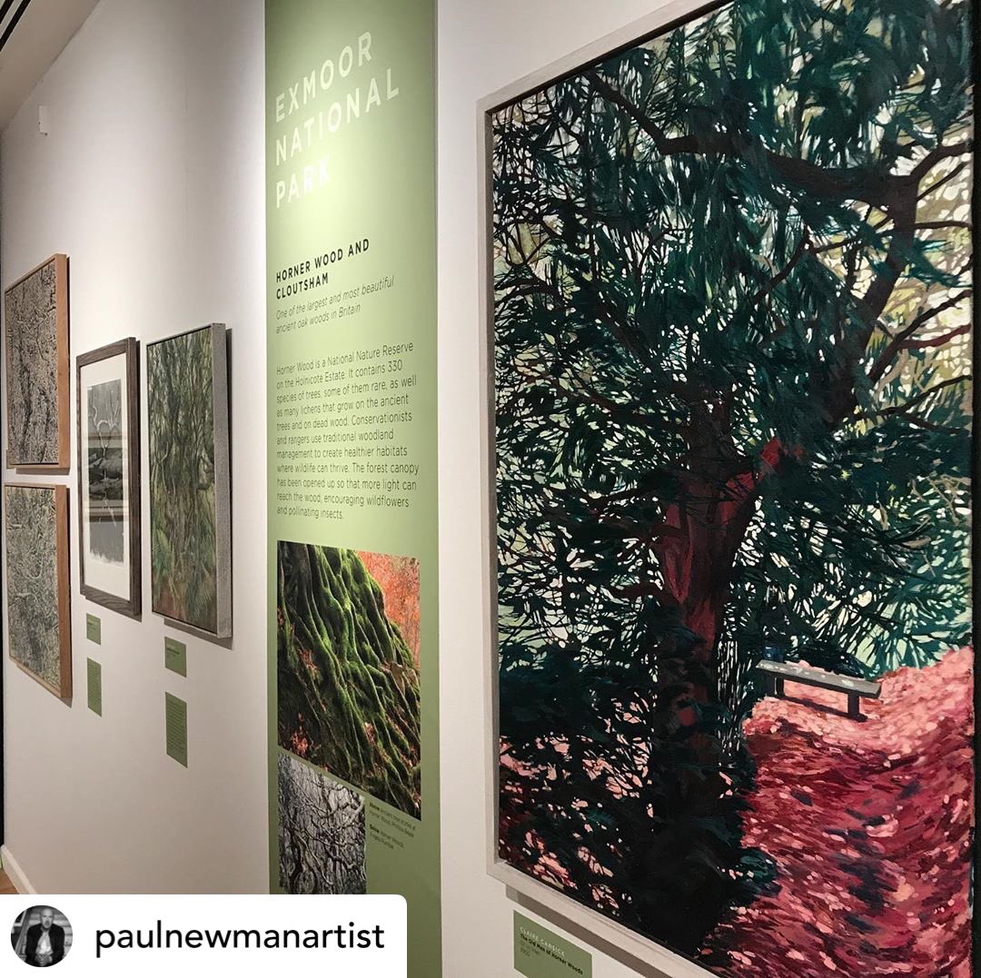Meanwhile over on IG...
Read about  #SGFA member @paulnewmanart recent visit to @TheArborealists exhibition @SomersetMuseum 🍂🎨🌳instagram.com/p/CGcP230lxEe/… #trees #landscape #TreesAreLife #artexhibition #Somerset #buyart #contemporaryart