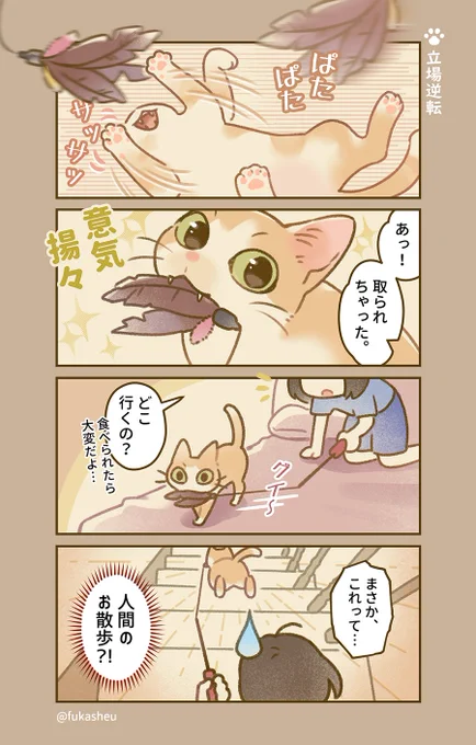 猫に散歩させられる飼い主。#猫漫画 #リミル猫日課 