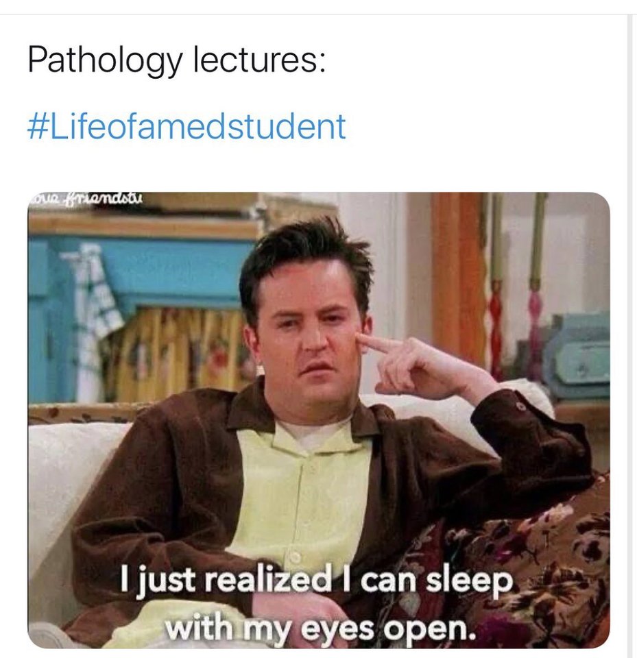 Actually, most basic science lectures.  #LifeofaMedStudent