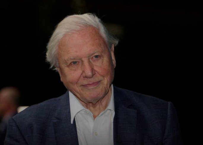 wef's tweet photo. David Attenborough leads call for world to invest $500 billion a year to protect nature https://t.co/BwOXji2vFq #Biodiversity #Action https://t.co/mfAW9axljp
