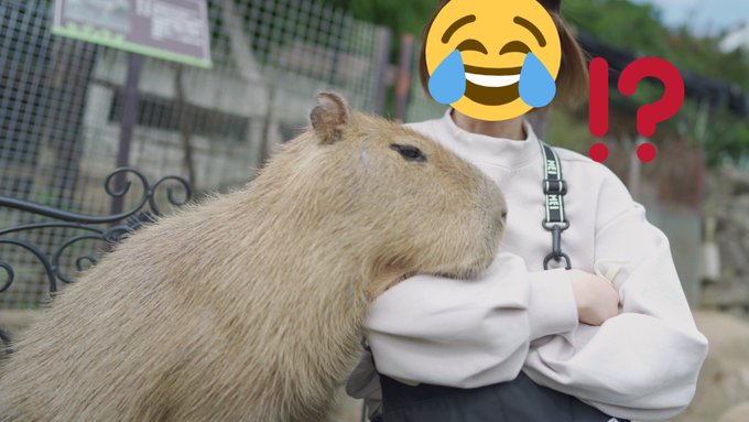 コスプレイヤーなを。のTwitter画像11