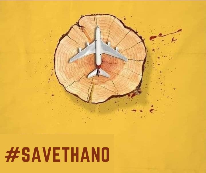 KambojAnanya's tweet photo. In times of the #climatecrisis, don't cut 10,000 trees.

#SaveThano #ClimateAction #FaceTheClimateEmergency

@Fridays4future @FFFIndia @fridays_india @GretaThunberg @LicypriyaK @AaravSeth888 @Sarahhh_lndian @Nandini72113762 
@fff_digital @LetMeBreathe_In @greenpeaceindia https://t.co/DJddEJw4oB