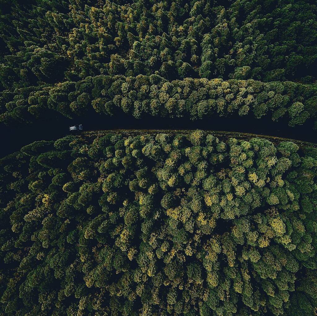 edgarliborio's tweet photo. green &amp; gold

#acores #azores #portugal #visitazores https://t.co/h7cXf4Dd1r https://t.co/umvU8DPRvt