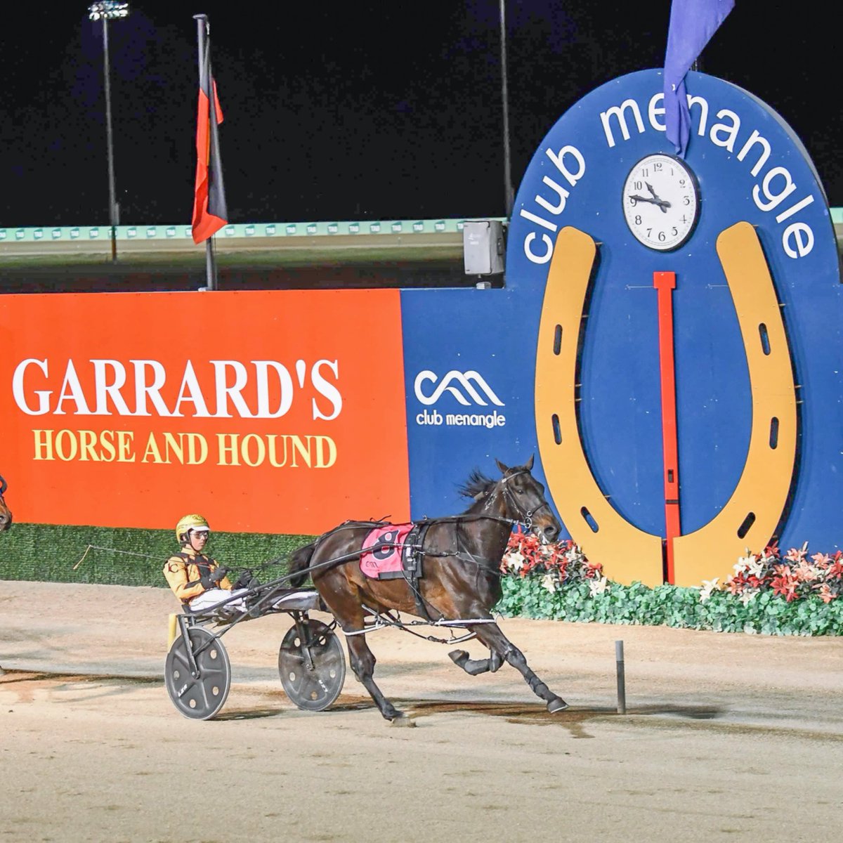 Club Menangle tweet media